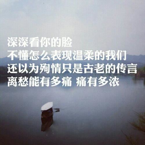 读岳飞传_有感