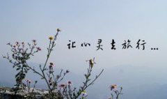 运动会拔河