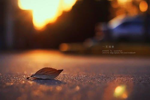 导师工作介绍信