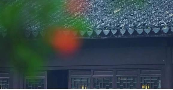 护理人员辞职报告