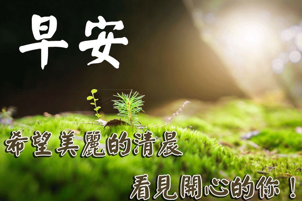 三八妇女节写给妈妈的信
