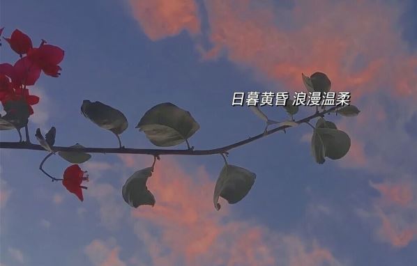幼儿园小班表扬信