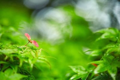 会议记录作用与范文