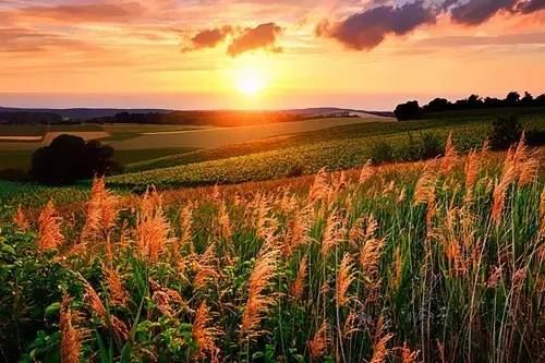 二十年后回故乡作文400字精选十三篇