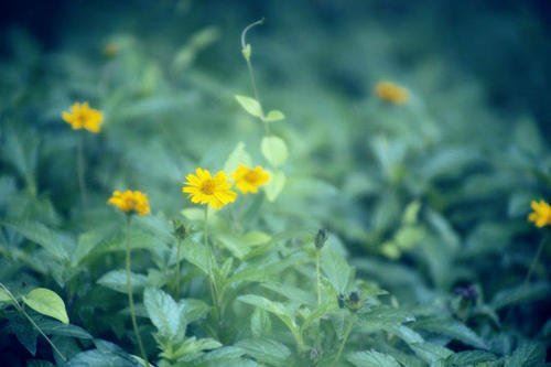 财务工作总结【推荐】