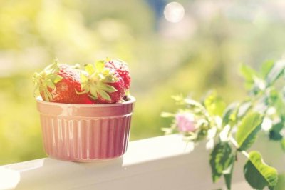 春节企业礼品赠送方案