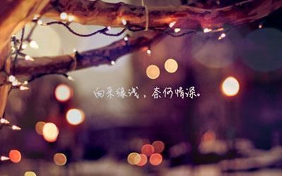 在出国留学前 Before Study Abroad