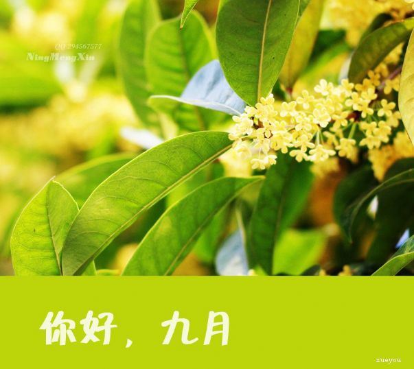激扬青春放飞梦想的演讲稿