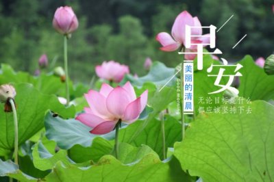 二手商品之我见 My View on Second-Hand Goods