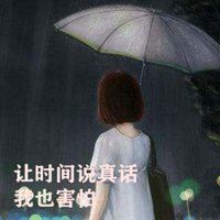 校园自查工作计划