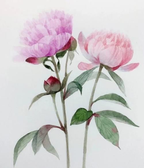 常用伤感个性句子99条
