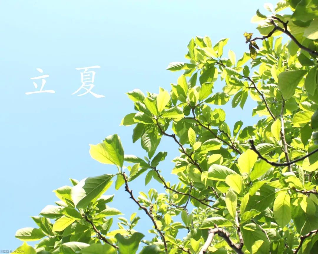 冬天的英语作文