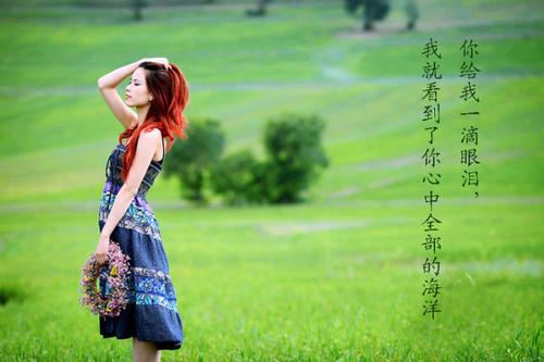 什么是标准审计报告与非标准审计报告