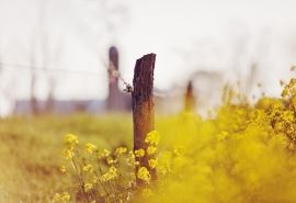 写给医院感谢信