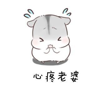 文明上网升旗仪式主持稿