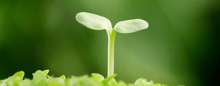 教职工代表大会闭幕词范文