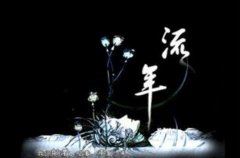假期旅游 On Holiday Travel