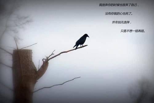 微信营销没效果怎么办