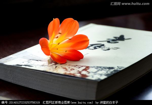 游龙生态园小学作文