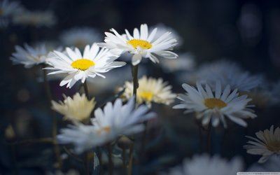 隔代带娃 The Old Generation Takes Care of the Children