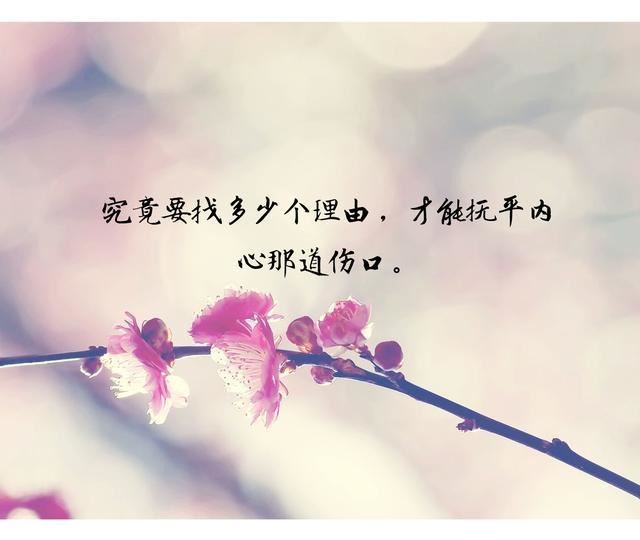 我是会跳舞的落叶
