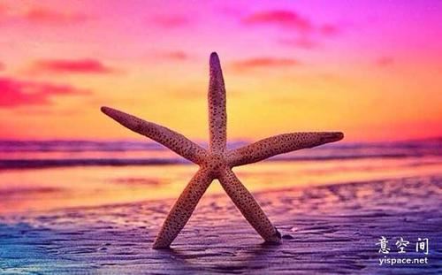 ​重症医学科规培工作总结