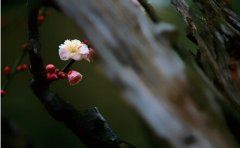 散文:两个人,两座城,一种思念