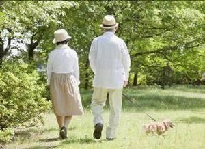 公开信的类型写法