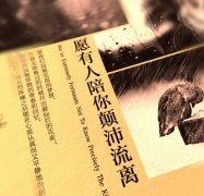 关于夏天篇