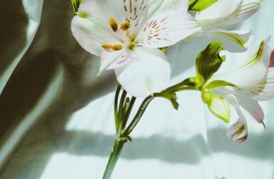 宿甘露寺僧舍_原文及译文