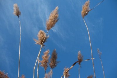 合肥育英学校初中怎么样