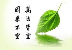 夏天的英语作文