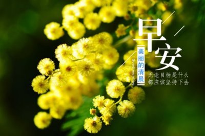 大四实习自我鉴定