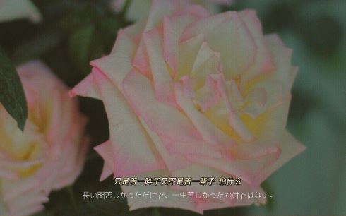 初中教师的个人述职报告