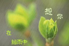 公开信写法和事例