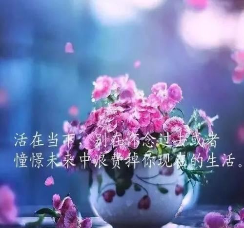 动物的歇后语