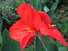 愚人节幽默整蛊短信