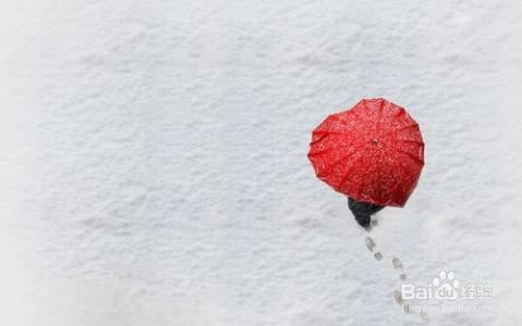 阿甘正传_英文读后感