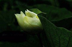 如何充实大学生活 How to Enrich College Life