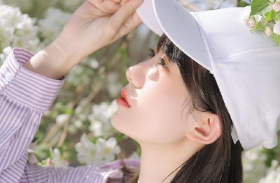 我是海豚