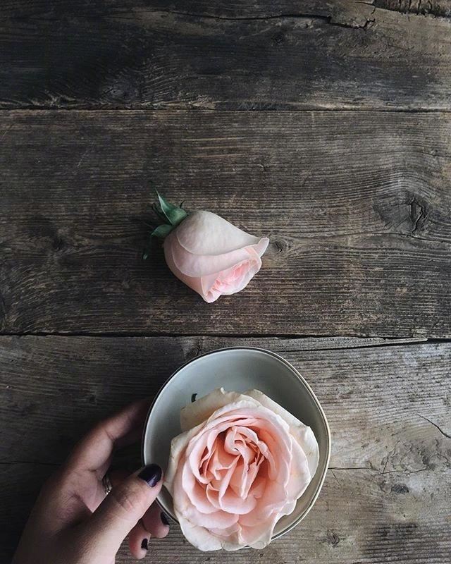 同级企业间贺信范文