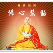 教师网络研修心得体会