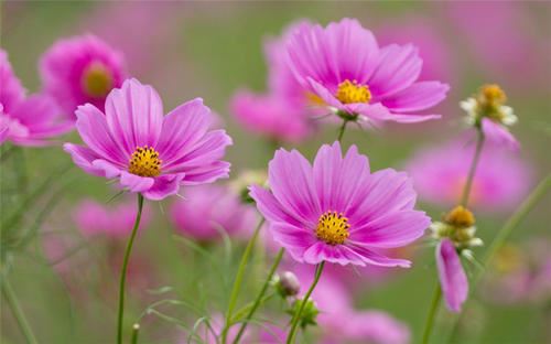 高中五一劳动节作文