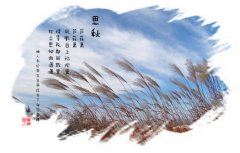 踢得太准了