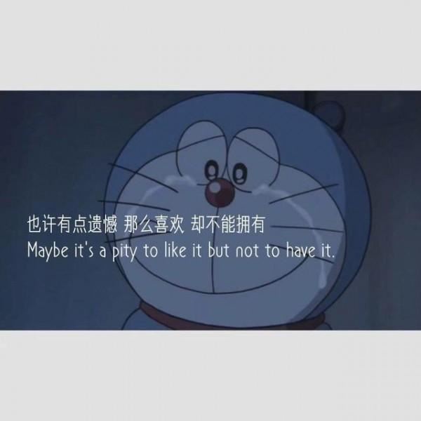 公司例会会议记录范文