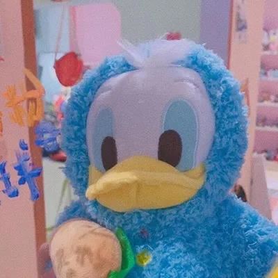 书香校园读书口号