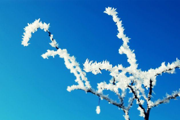 3分钟左右左右励志故事演讲稿