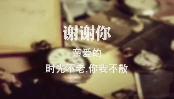 美国英语作文