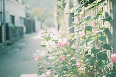 电视对社会的影响 Effects of Television on our Society