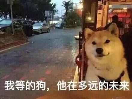 母亲节幼儿园亲子活动方案